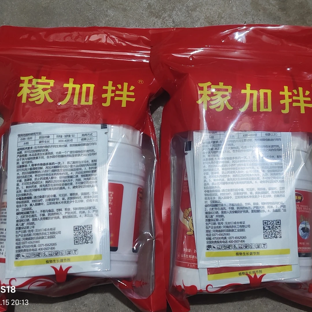 大蒜拌种方案预防根腐病让大蒜不死颗