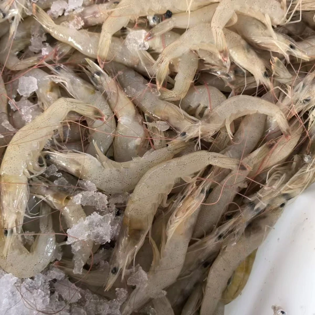 去头羊毛虾尾小海虾冷冻海白虾去头羊毛虾200g每包到手5包