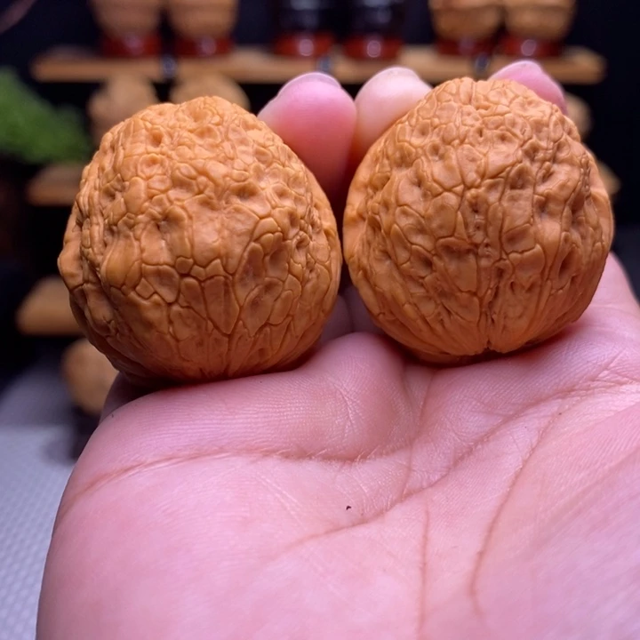 木质类云铁金丝绣球10号