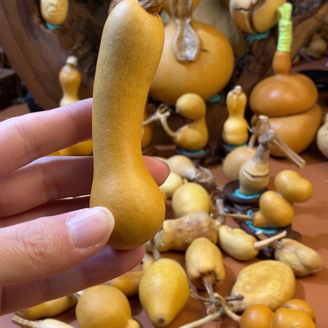 霸***】教练教练教练教练经理