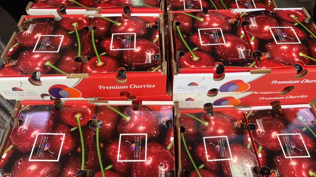 福利3j车厘子 内附果径卡