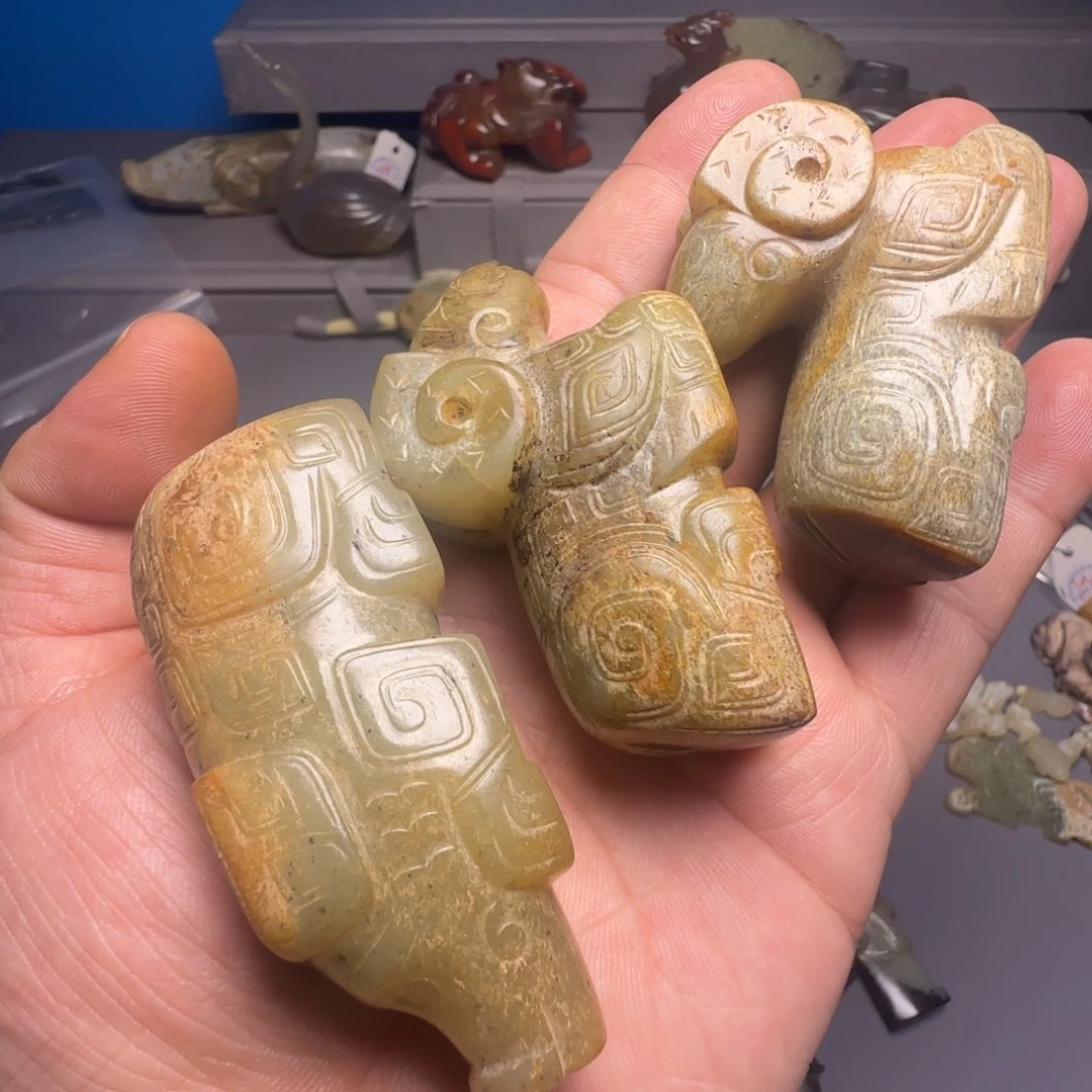 远***方小动物。。。。。。。。。。。。