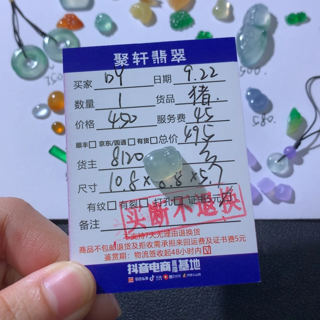 吖***吖颈饰未镶嵌翡翠翡翠