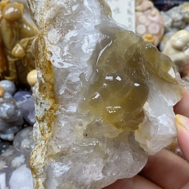 颈饰未镶嵌硅化珊瑚（珊瑚玉）