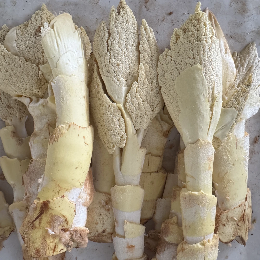 云南腾冲棕包米新鲜带壳棕包特产可配腊腌菜炒肉棕花生姜煮汤好吃