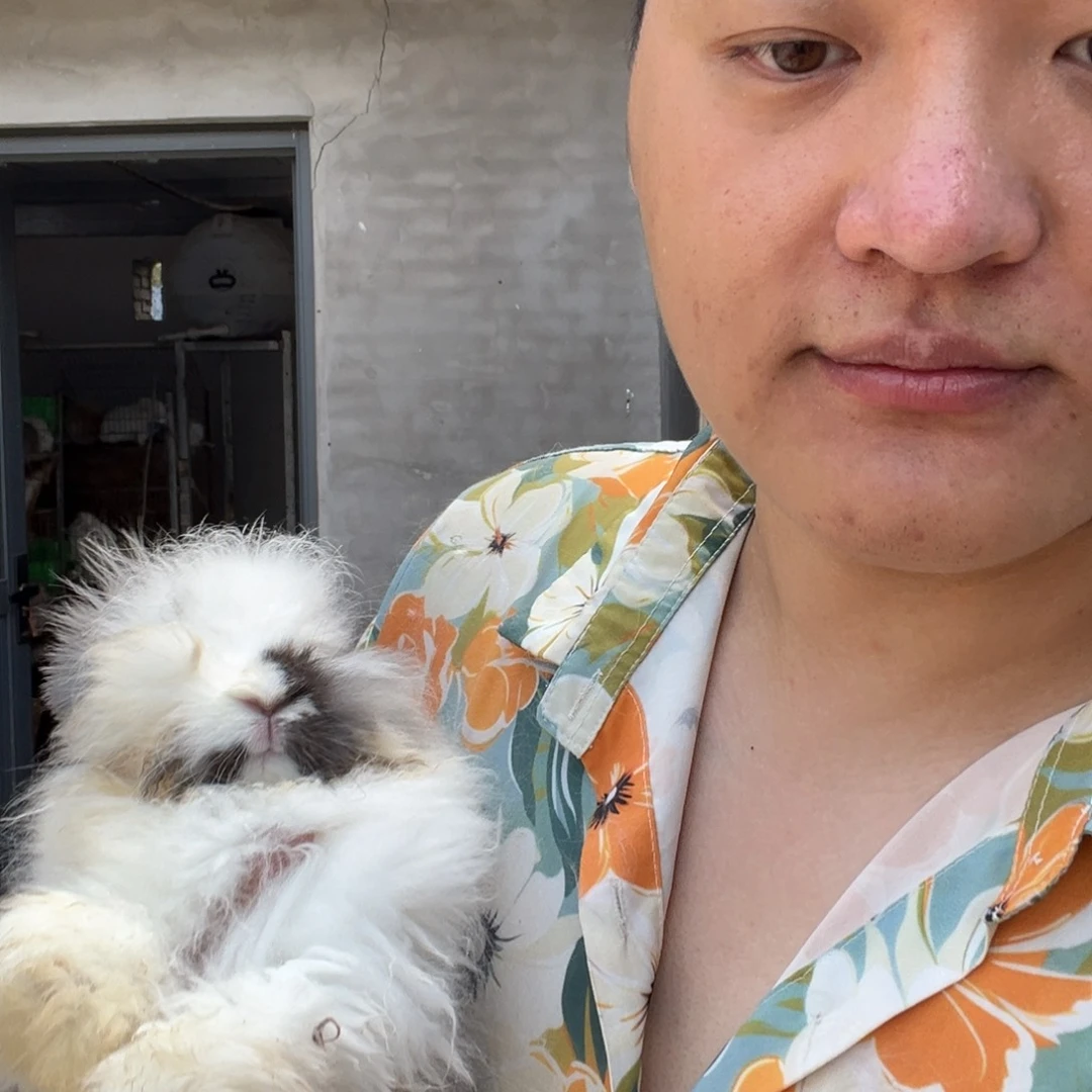 王***睛1111111111111宠物