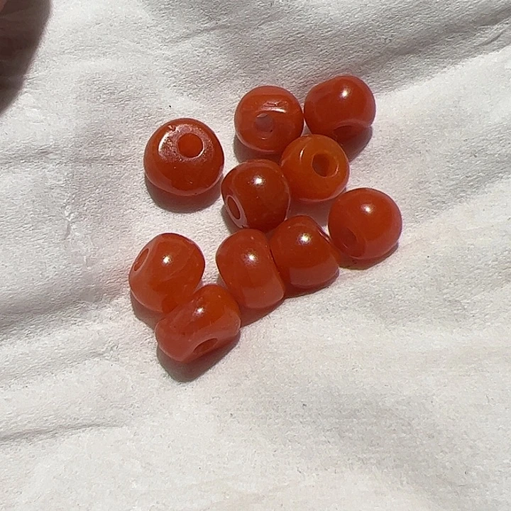 香榧木在这里的时候