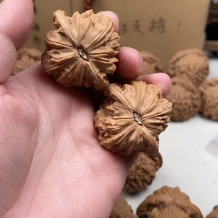 清***界木质类31.31.31.31.31