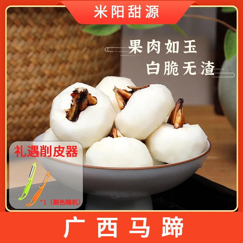 【米阳甜源】广西马蹄3斤 约45-60个