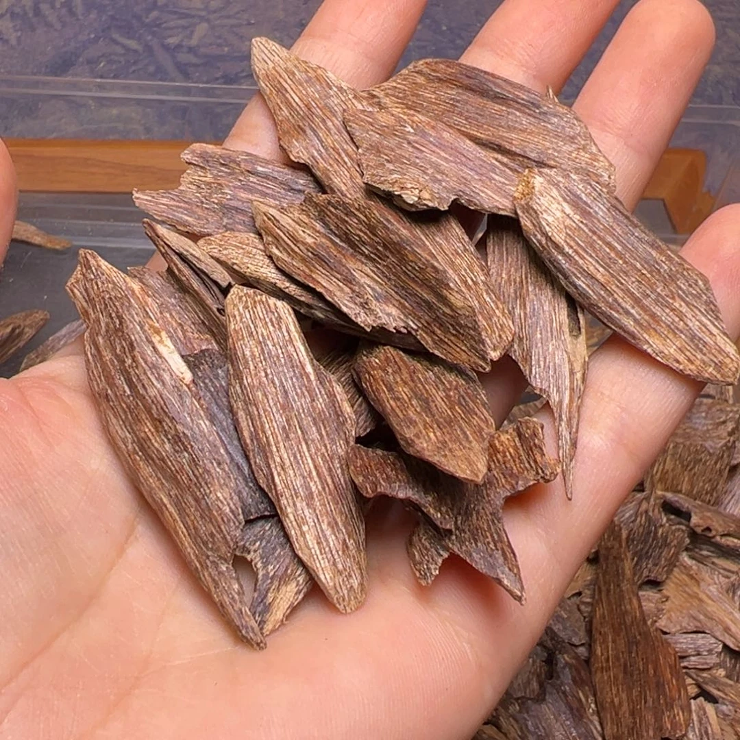 沉香碎屑沉香海南树心蚁漏11克