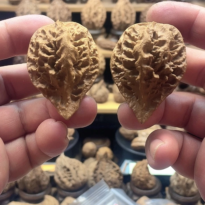 把件文玩核桃龙纹鸭嘴兽9