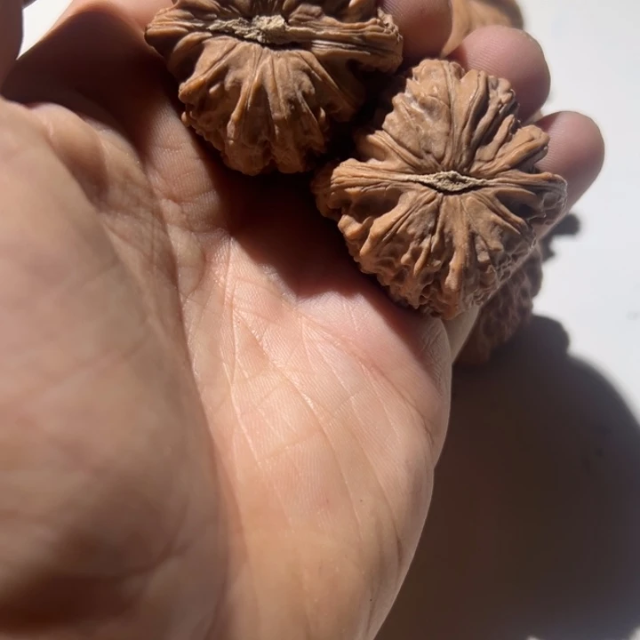 我***队文玩核桃把件闷白