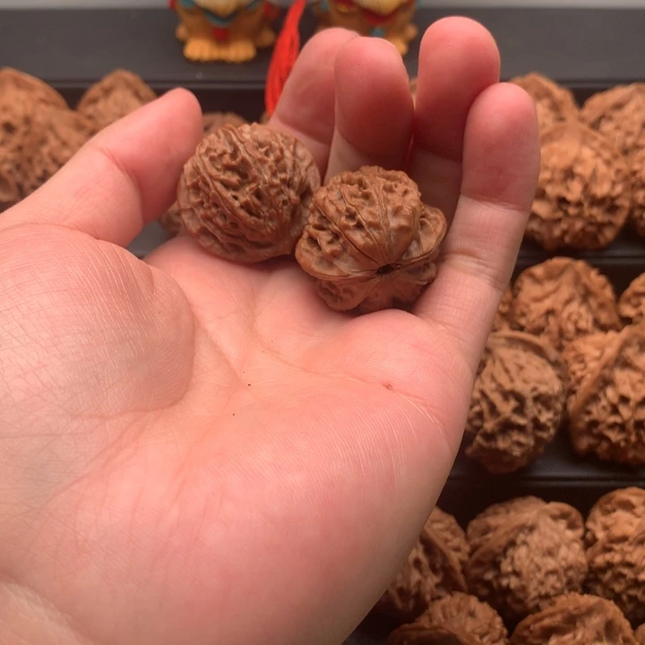 其他核桃中*秦岭山脉的