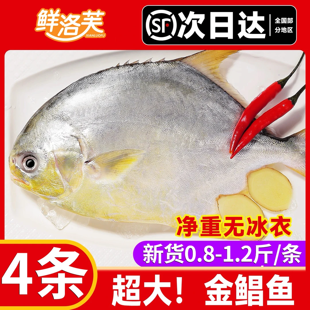 【顺丰冷链包邮】金鲳鱼广东阳江深海鲜活捕捞速冻新鲜当季送礼金昌