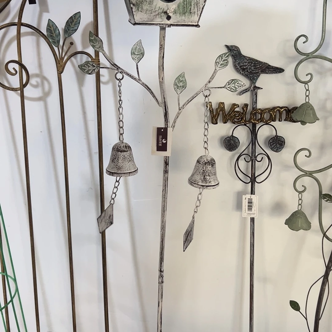 抖音直播样品一个