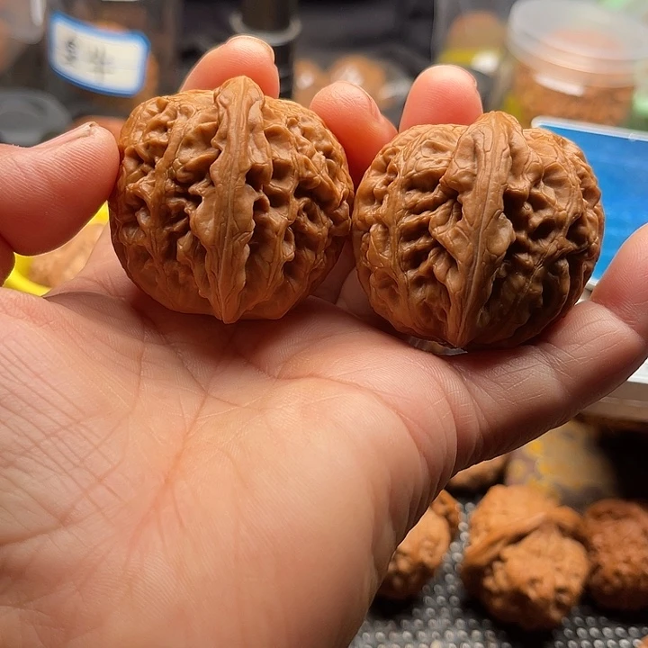 把件桃核全品红锦鲤边40肚44