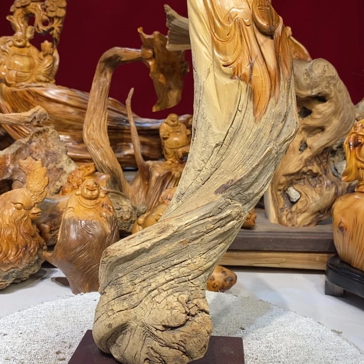 柏木（崖柏）8888888