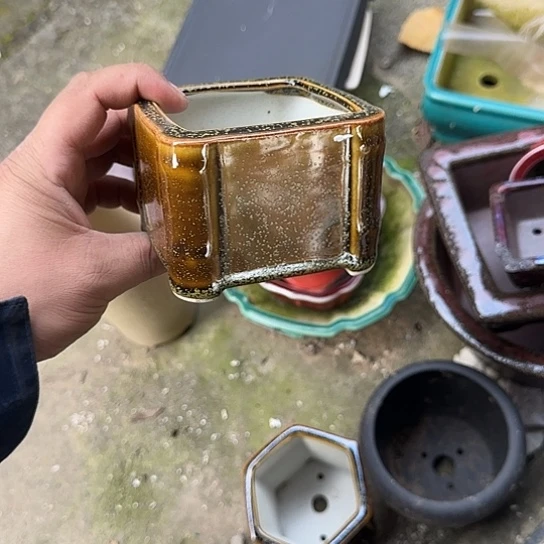 我想说我们也没见他说你没来
