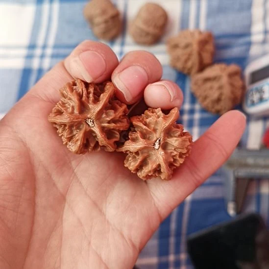 钰***司盘山文玩核桃三棱子打底