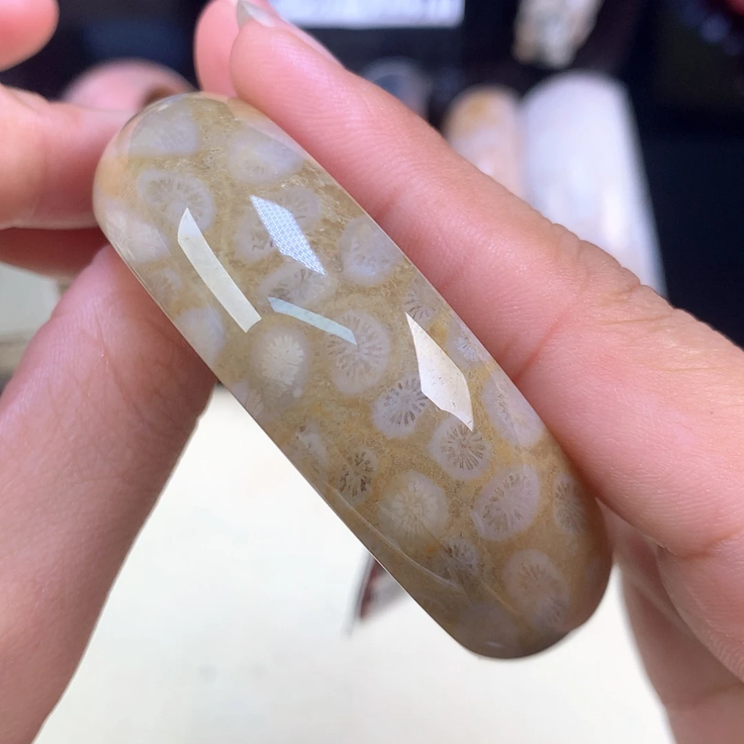 【闪购商品】颈饰未镶嵌硅化珊瑚（珊瑚玉）65号绿底花53.7圈