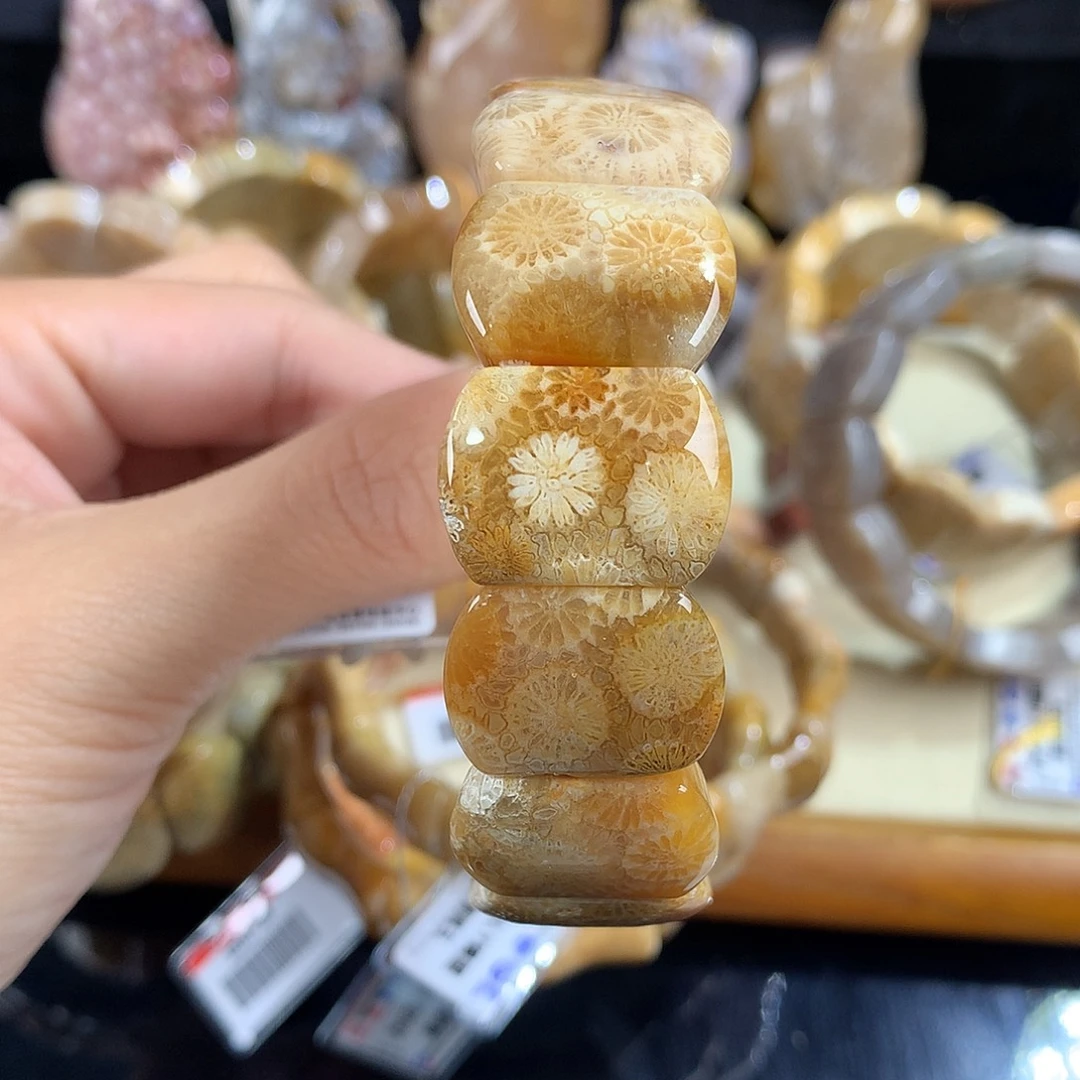吊坠(赠链)未镶嵌硅化珊瑚（珊瑚玉）42号