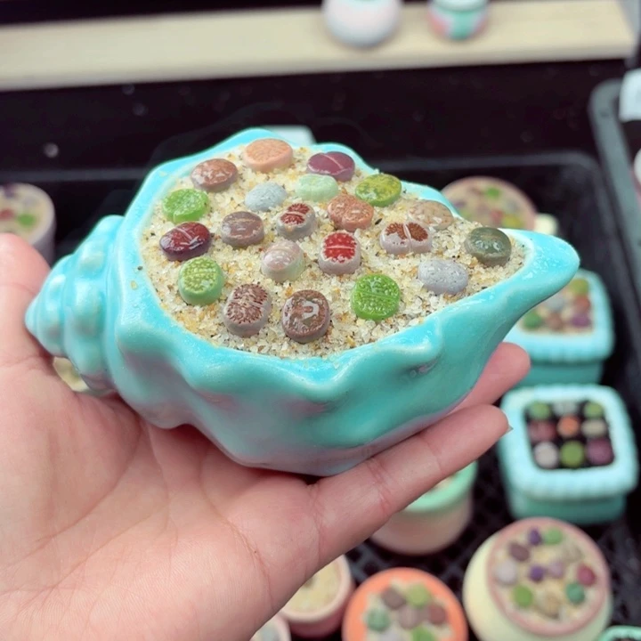 924凑满18包邮零下地区记得拍保温箱