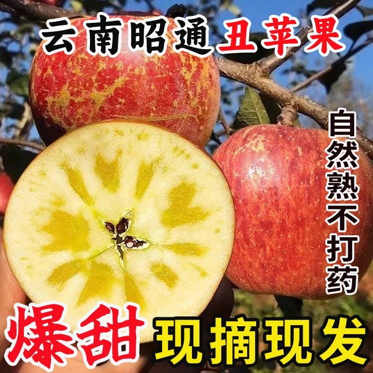 云南昭通丑苹果冰糖心新鲜水果现摘现发脆甜多汁产地果园新鲜采摘