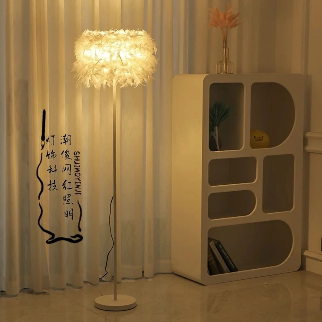 水晶羽毛INS创意落地灯婚庆客厅书房卧室床头台灯美容主播补光灯