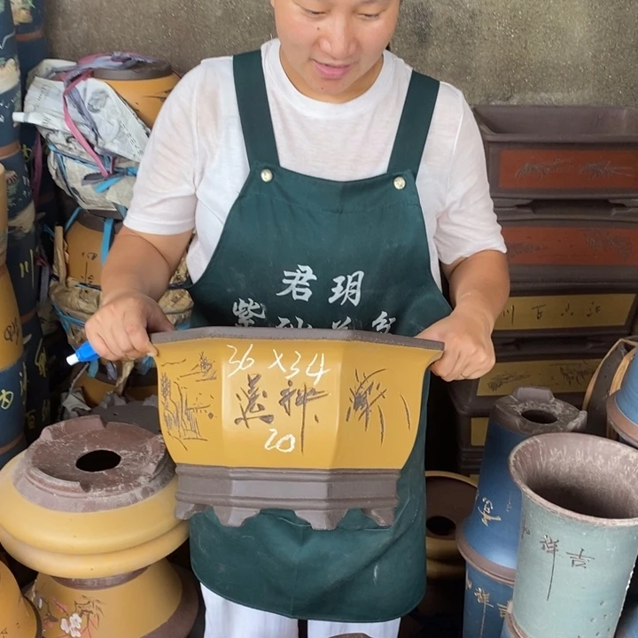 紫砂花盆盆栽花卉苗木种植