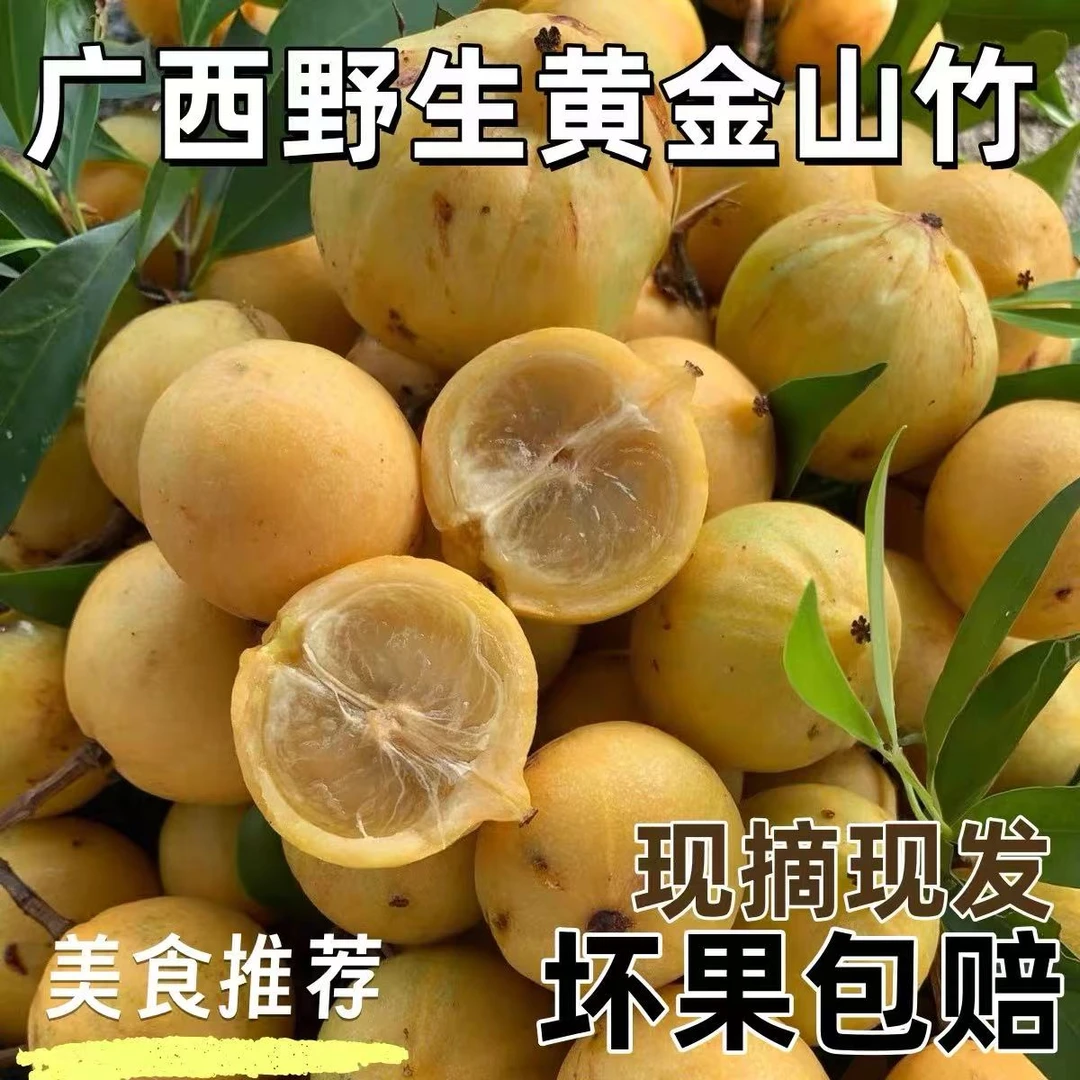 【顺丰包邮】广西纯天然野生山竹 新鲜现摘现发当季酸甜孕妇水果
