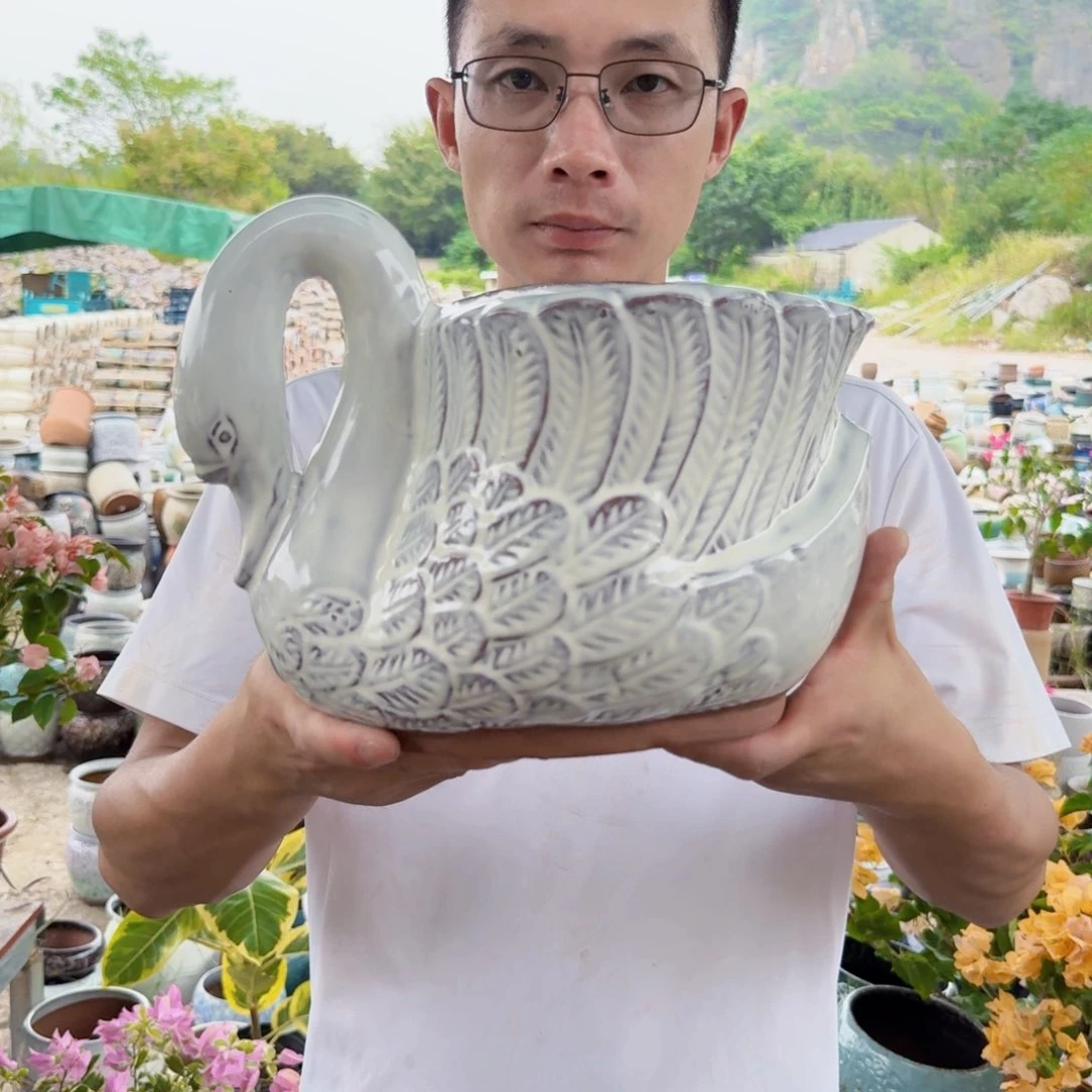 紫砂花盆鹅一个白啊一个一个