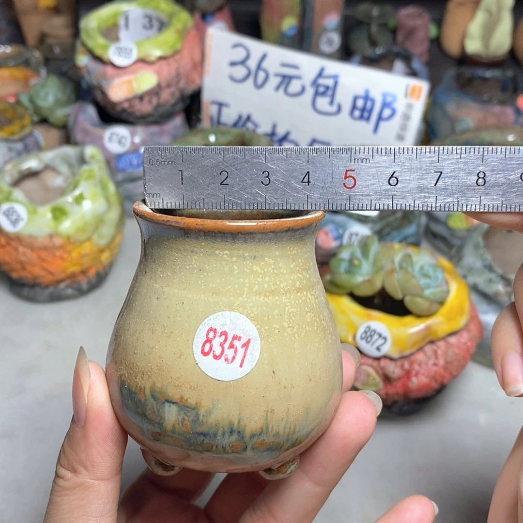 拍4送一个小礼物