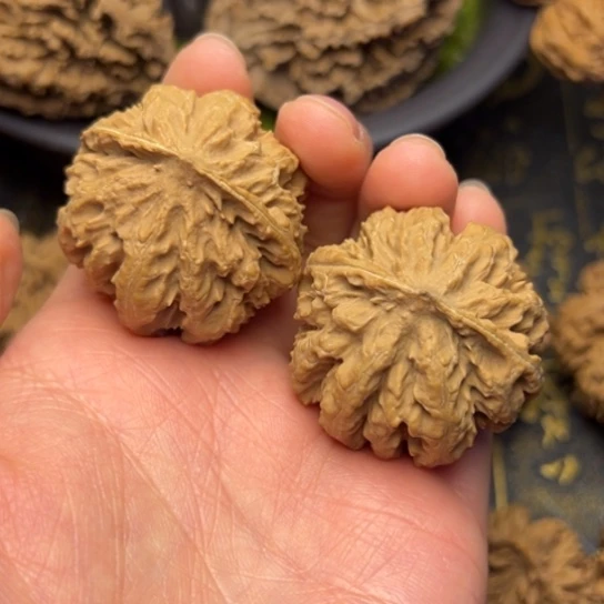 文玩核桃把件秦岭核桃30