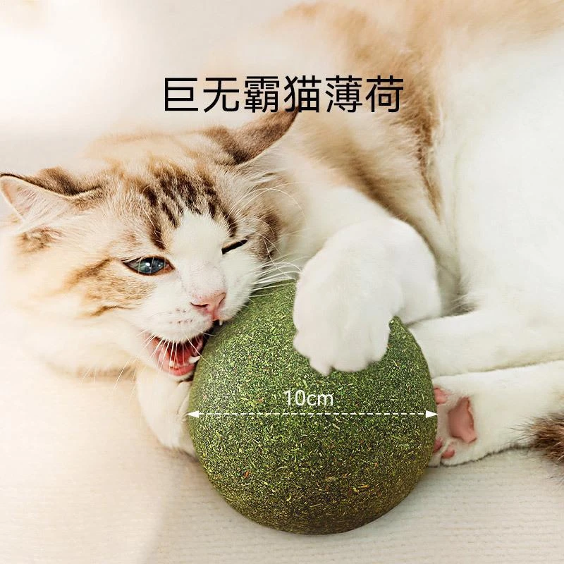 超大猫薄荷球猫玩具自嗨解闷神器逗猫全套棒磨牙玩具猫咪必备用品