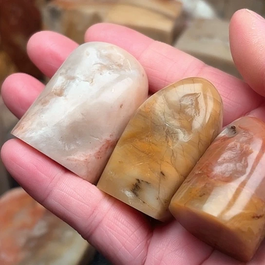 昌化石印石H****）昌化石