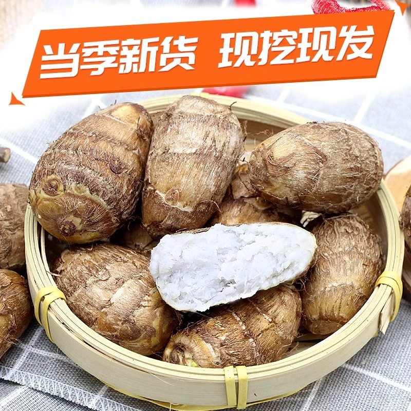 【今年新芋】新鲜牛奶小芋头农户现挖现发芋头粉糯毛芋头艿芋