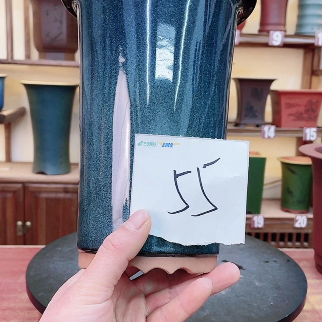 【闪购商品】紫砂花盆美**界兰花76585888558855888