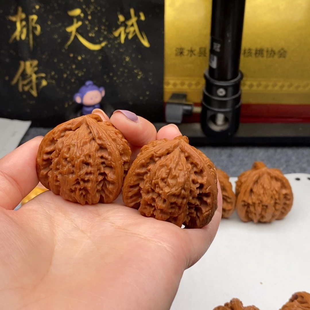 笑***。白狮子1111111