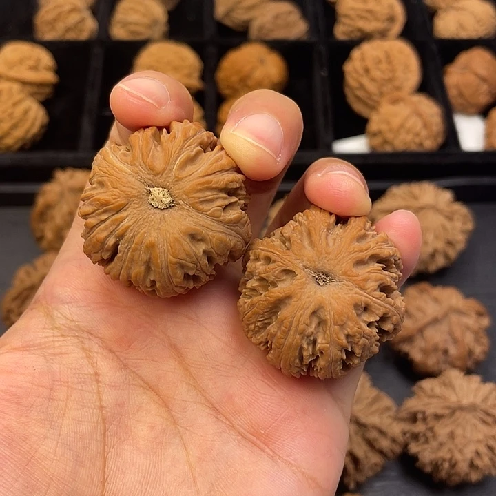 三***陈文玩核桃吊坠把vvvvvvvvvvvvvvvvvvvvv