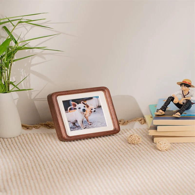 宠物相册 狗狗相册699 CC