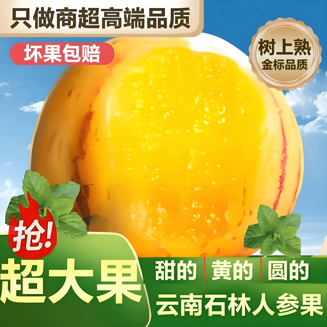 【超好吃的人参果】正宗云南石林人参果树上熟黄肉果新鲜清甜多汁