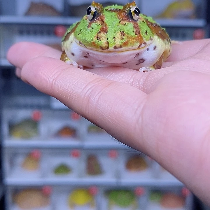 特价秒杀现货特价