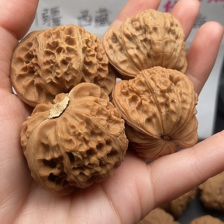 ≖***✧大大大大大大宫灯磨盘黄金甲