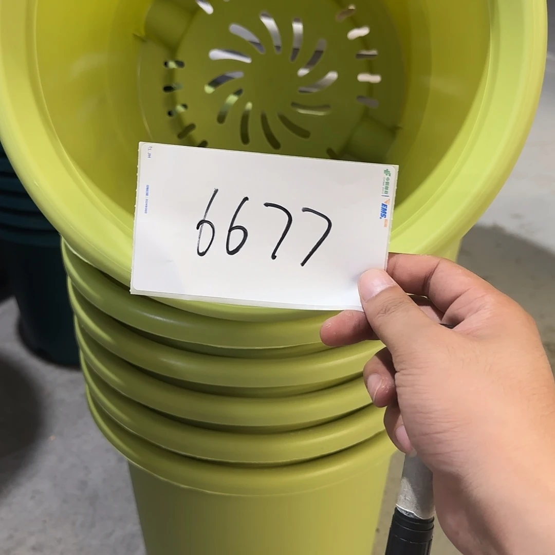 编号6677，6号无托