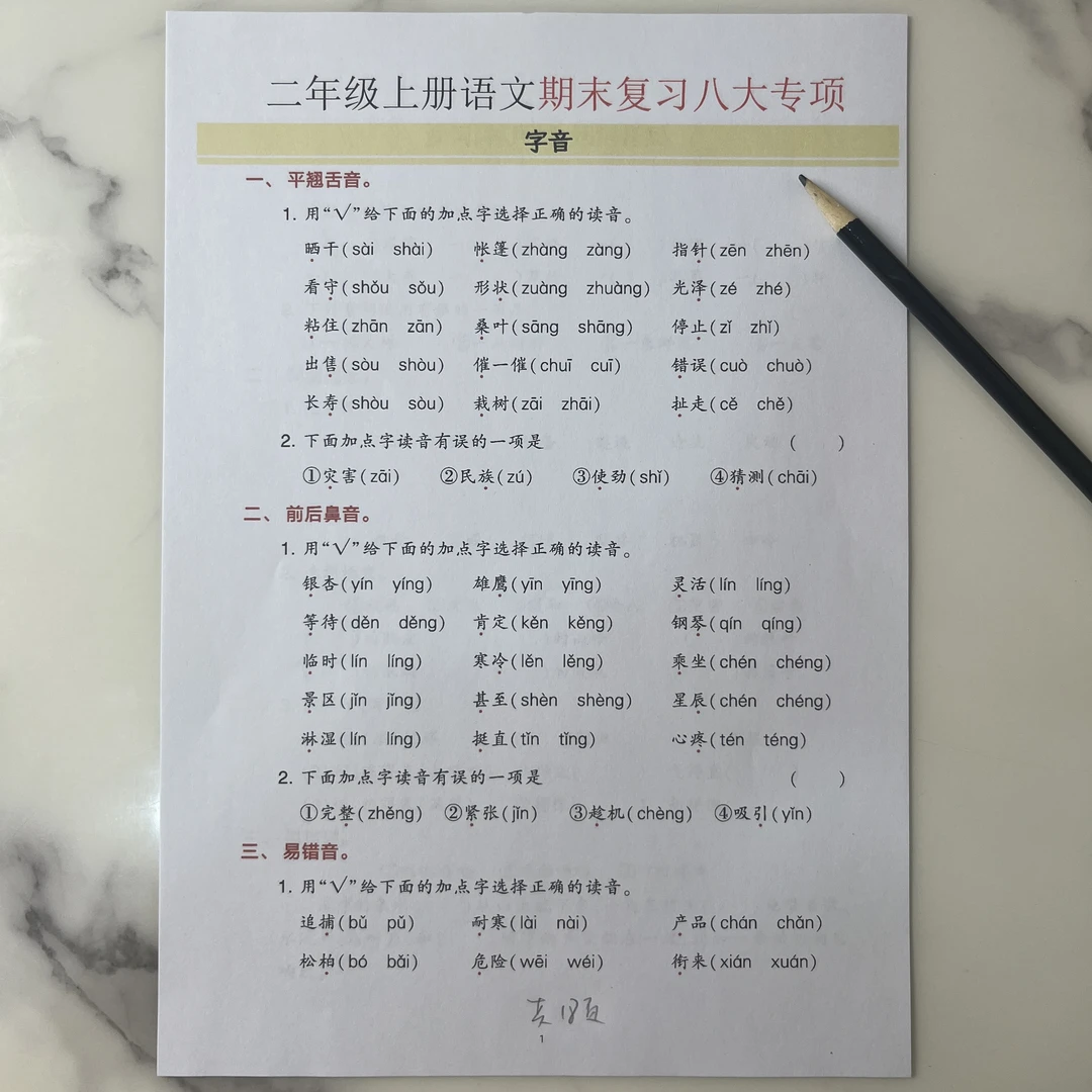 2025年新版二年级语文上册 --期末复习八大项