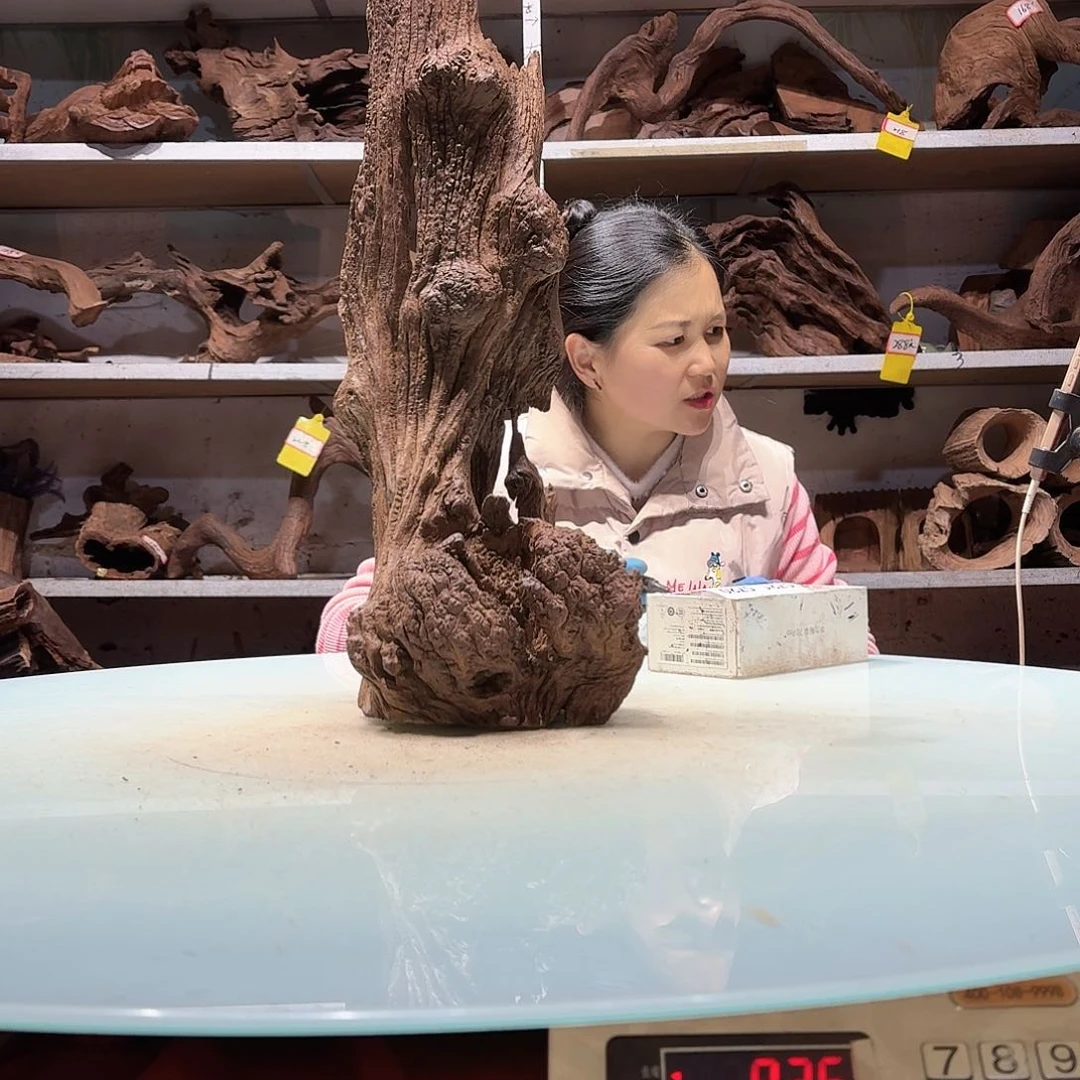 倍褚沉木不包损必褪色佑****s5712