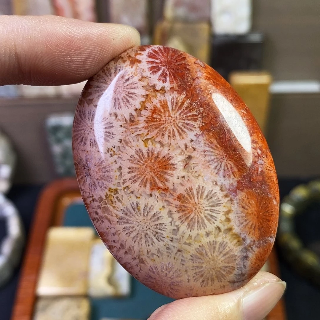 硅化珊瑚（珊瑚玉）吊坠未镶嵌夜*