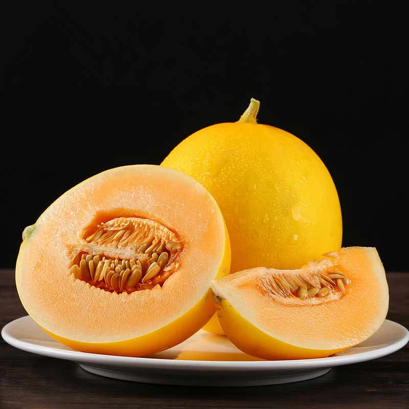 B【现摘现发】甘肃民勤沙漠蜜瓜当季新鲜水果产地直发