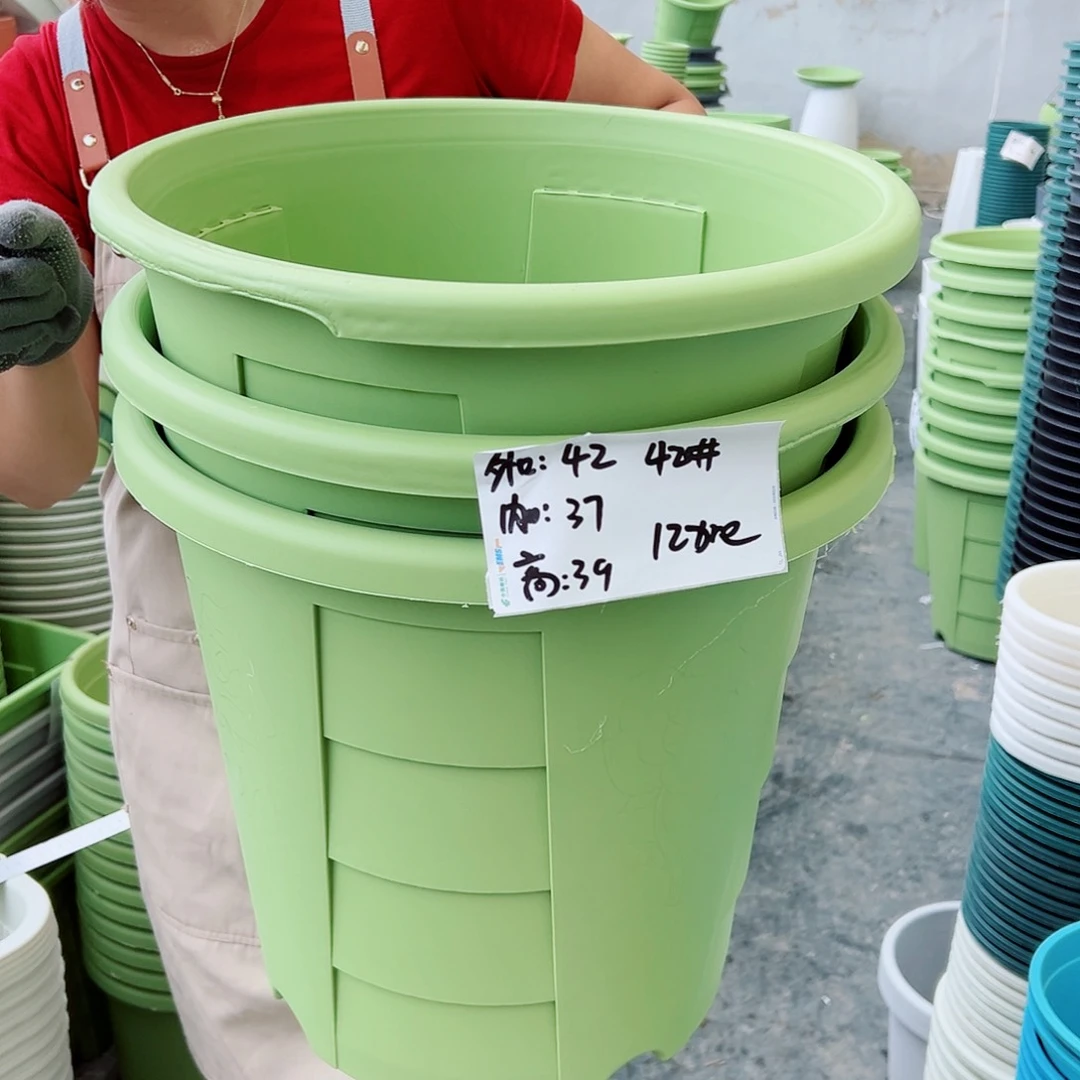 瑕疵玫瑰420#果绿色3个无托