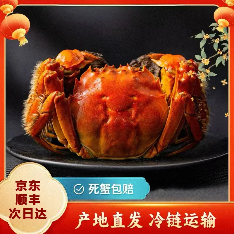 【活蟹】蟹妞妞  买8只送2只到手10只  苏州大闸蟹+母蟹2两-2.1两/只*10只  鲜活发货，京东顺丰空运明日达